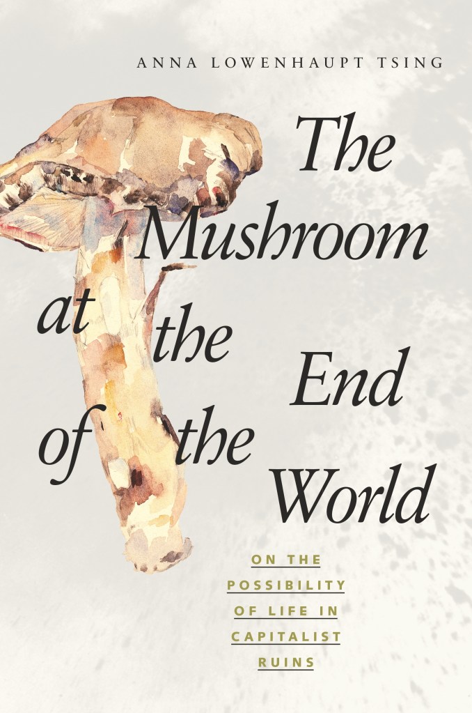The Mushroom at the End of the World Anna Lowenhaupt Tsing mastutake book cover